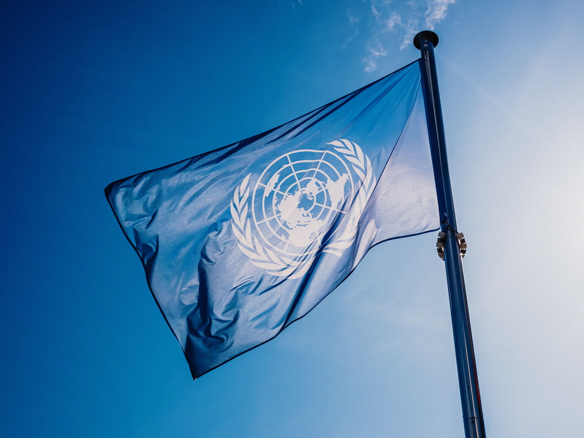 Les organismes internationaux et leurs limites